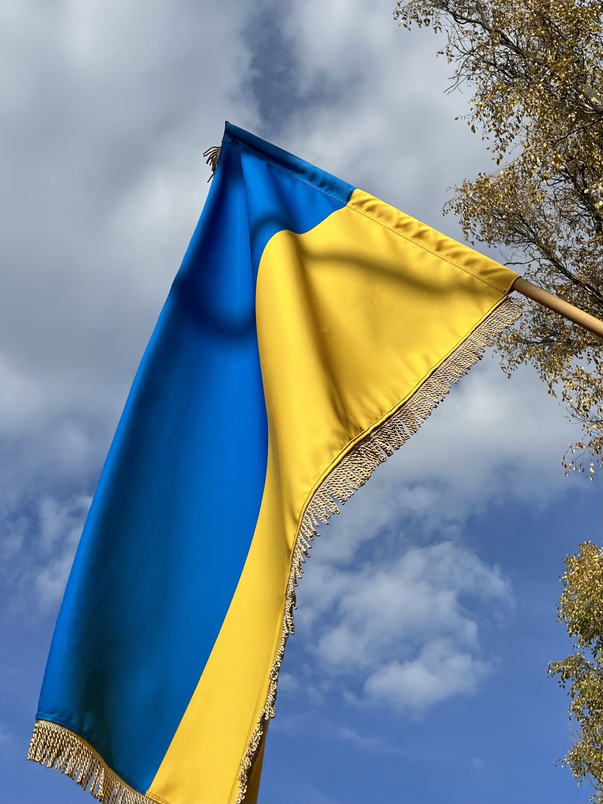 Стяг, прапор України жовто-блакитний 90*130 см