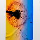 Рушник з мікрофібри Emmer Dandelion 70*140