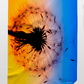 Рушник з мікрофібри Emmer Dandelion 90*140
