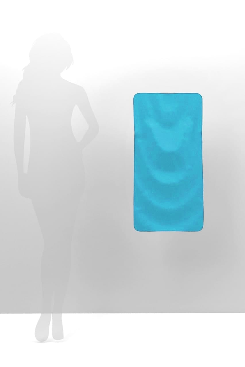 Рушник з мікрофібри спортивний Emmer Light Blue 45*90